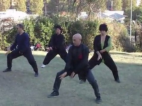 Taiji Quan a Roma con il Maestro Flavio Daniele, Taiji Quan stile chen