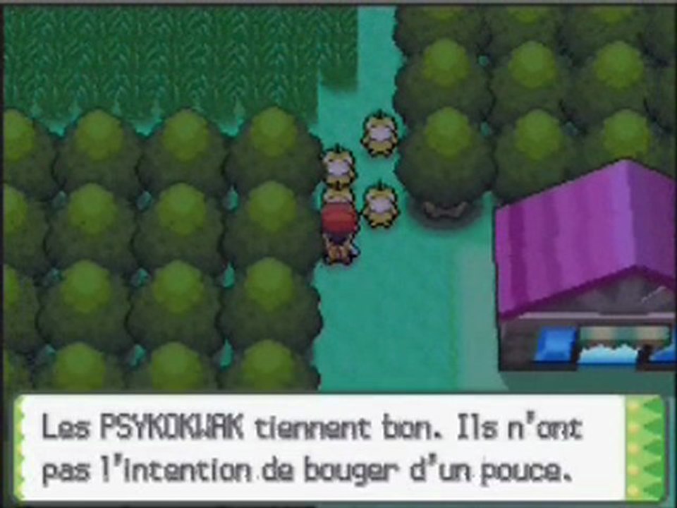 Pokémon Perle walkthrough ,16) Le blocus