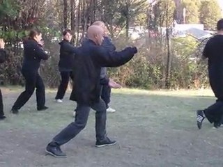 CORSI DI TAI CHI CHUAN A ROMA: SCUOLA NEI DAN, STILE YANG, M° FLAVIO DANIELE
