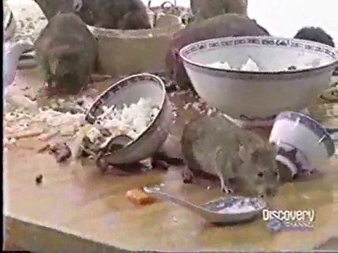 (DVD13) (02) DESASTRES NATURALES, TERREMOTOS