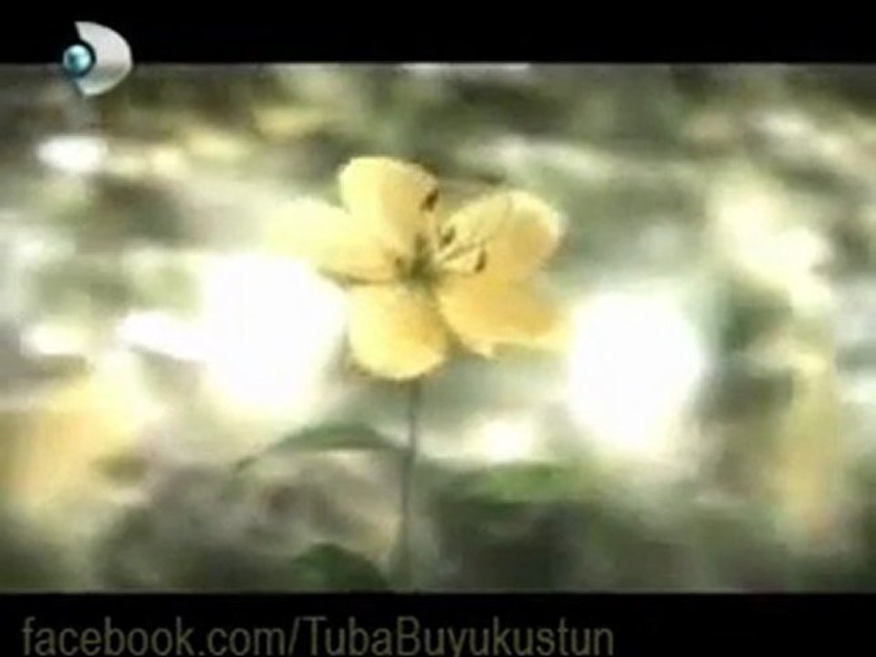 Tuba Büyüküstün - Pantene Saç Ritüeli