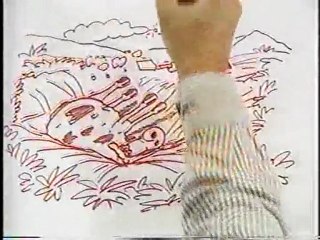 (DVD13) (16) INUNDACION 2