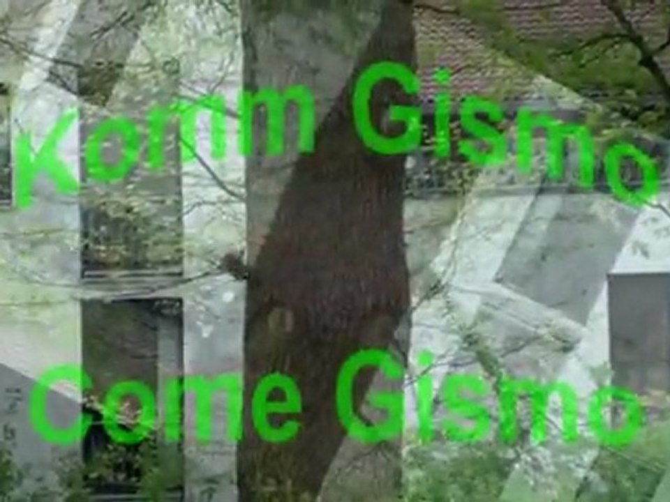 Gismo - Das Eichhörnchen, danke, danke (Gismo -  The Squirrel, thank you, thank you )