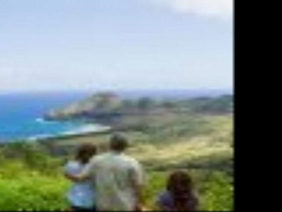 The Descendants Movie Trailer Official (HD)