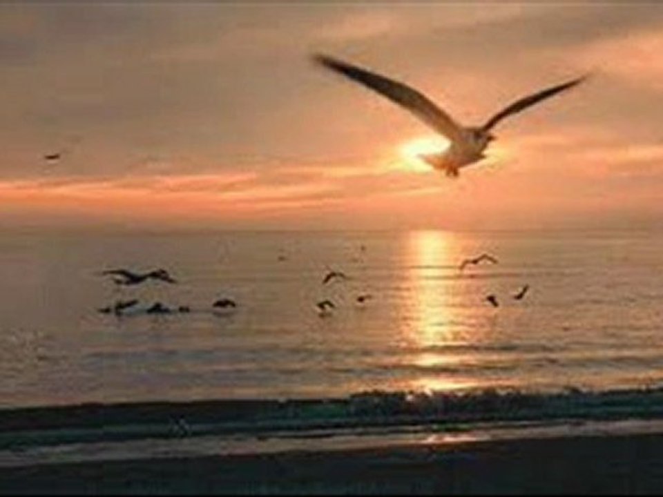 size hoş muhabbet bize elveda