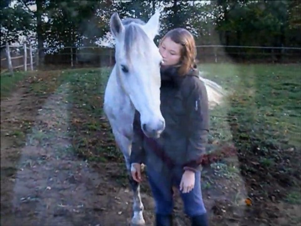 Qué Tal du Lak ♥