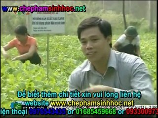 Quy trình xử lý rơm rạ thành phân vi sinh với chế phẩm Emic 3