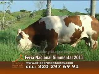 3_SABADO 12 NOVIEMBRE 2011 impulsores internacionales