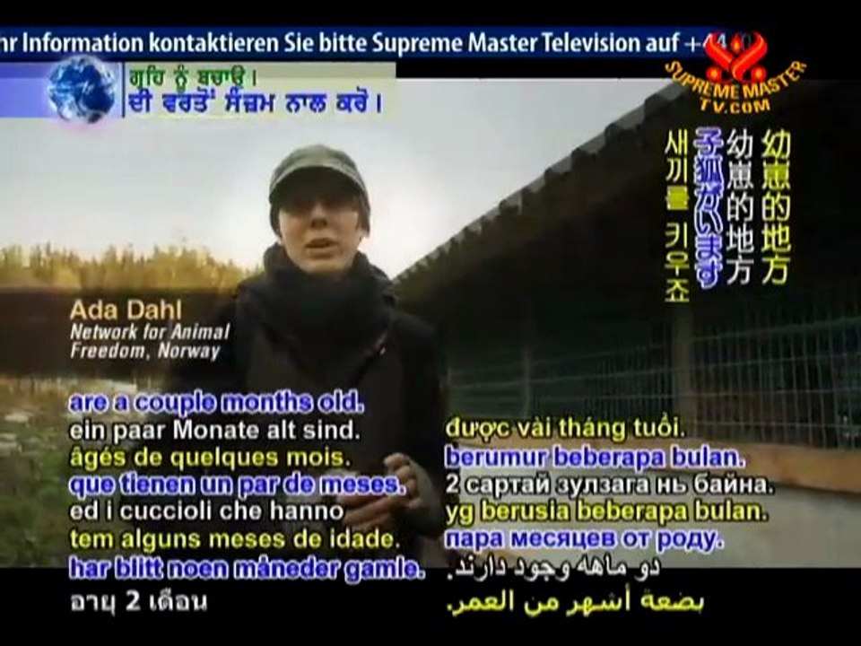 The Harmful Effects of Genetically Modified Foods