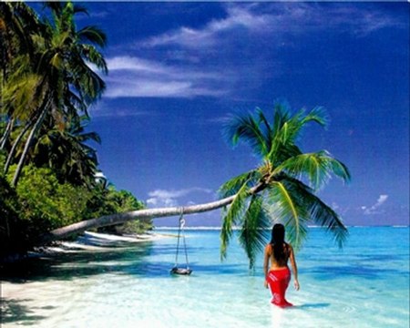 je voulaisd te dire adieu cha cha