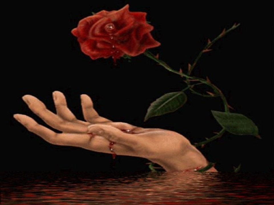 Ahmet selim&başladıgı gibi bitsin