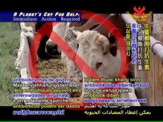 A Planet’s Cry For Help: Immediate Action Required