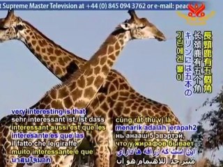 Meet the Animals of the Uganda Wildlife Education Center-2/3