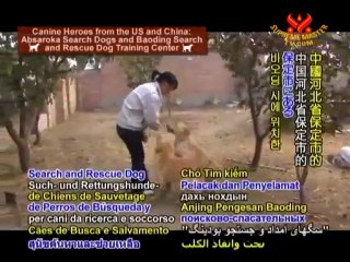 Absaroka Search Dogs and Hebei Baoding Rescue Dogs Center