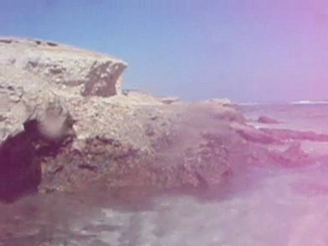 club de plongée de l'aa a marsa alam