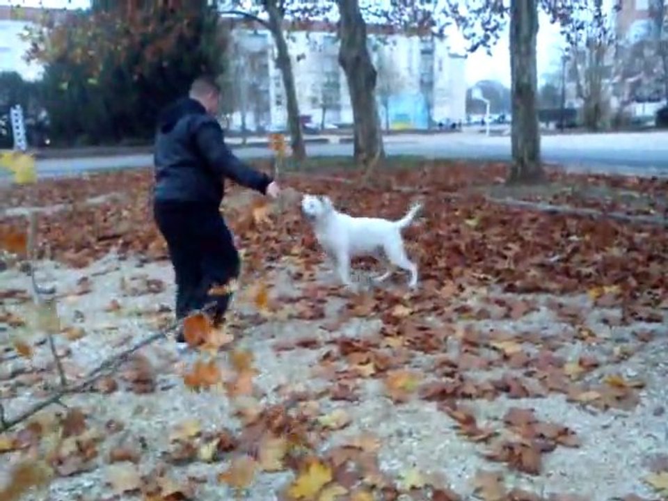 ma peette