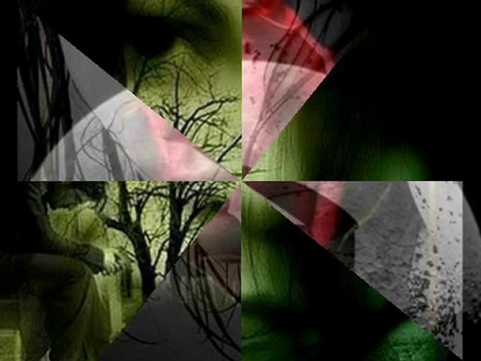 PARA ELISA...Sofia Ortega Cruz