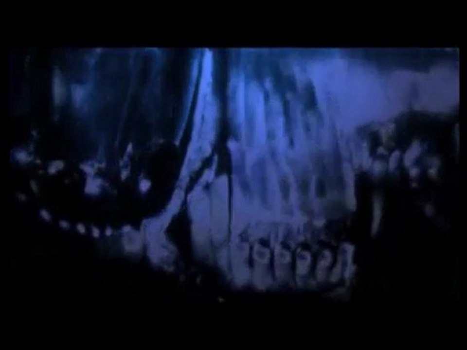 Glowing hatchet fish
