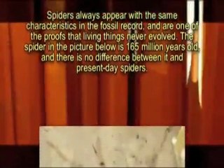 A NEWLY FOUND 165-MILLION-YEAR OLD FOSSIL SPIDER