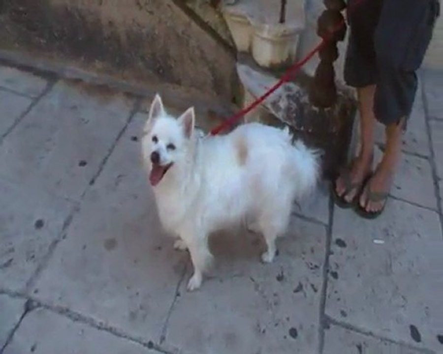 Saint Tropez 28072009 (6)