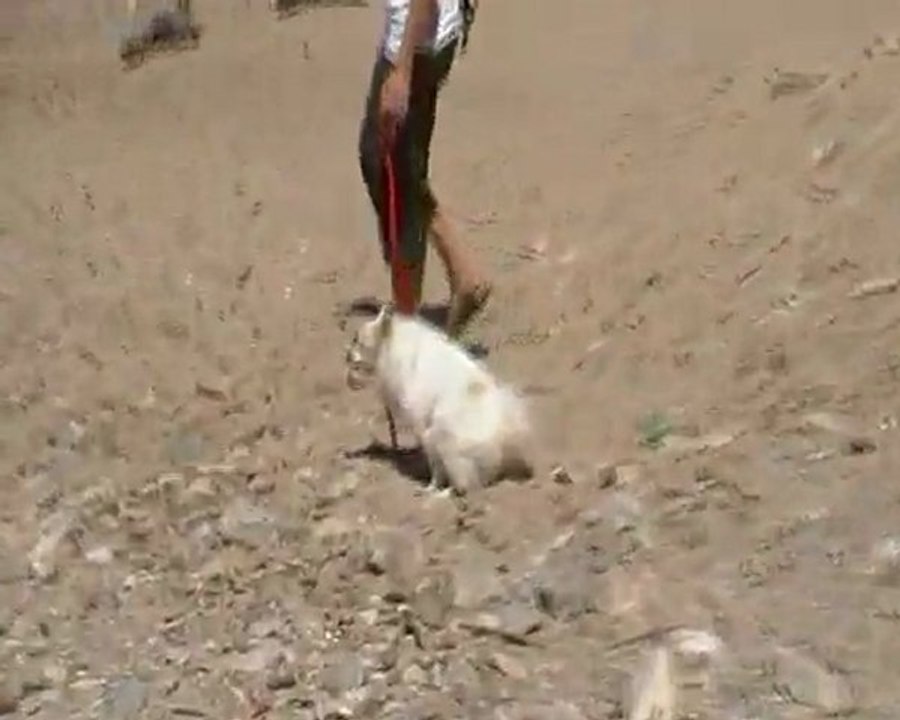 Saint Tropez 28072009 (8)