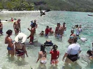 4784 Moorea nov 2011