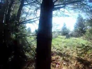 les cyriens envois leur declarion par video aux forces specials