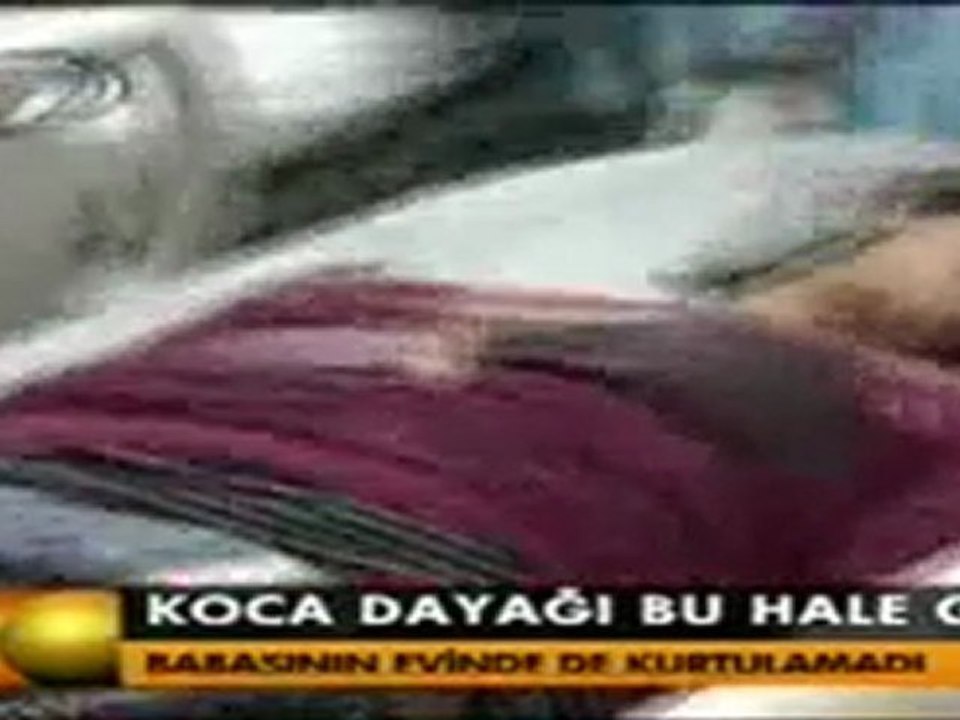 dayak haberi kanal 7 haber bülteni