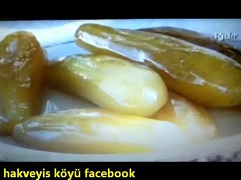 PATLICAN REÇELİ HAKVEYİS KÖYÜ IĞDIR