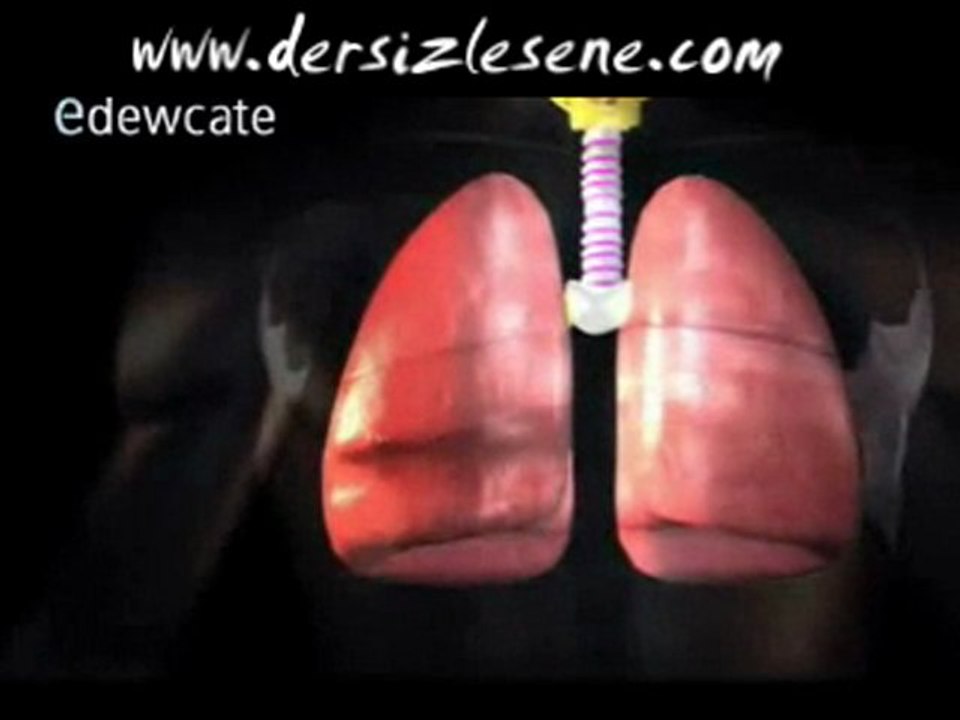 Akciğer Anatomisinin  Animasyonu www.dersizlesene.com