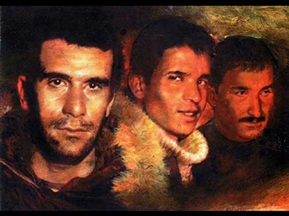 Haydi Türk Mileti