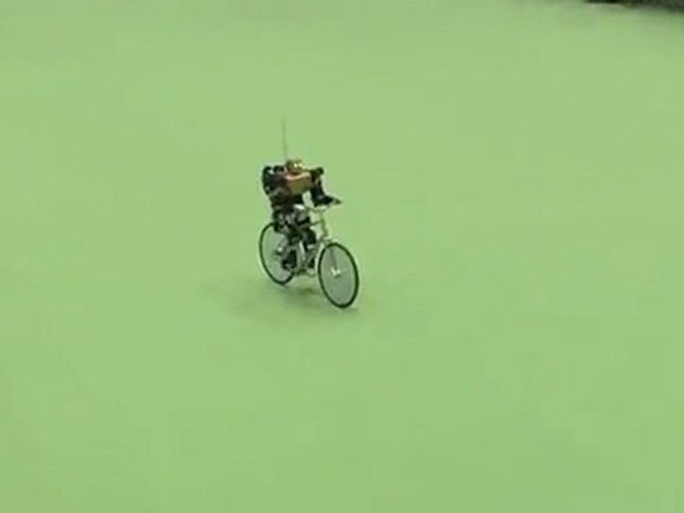 Bipedal Cycling Robot