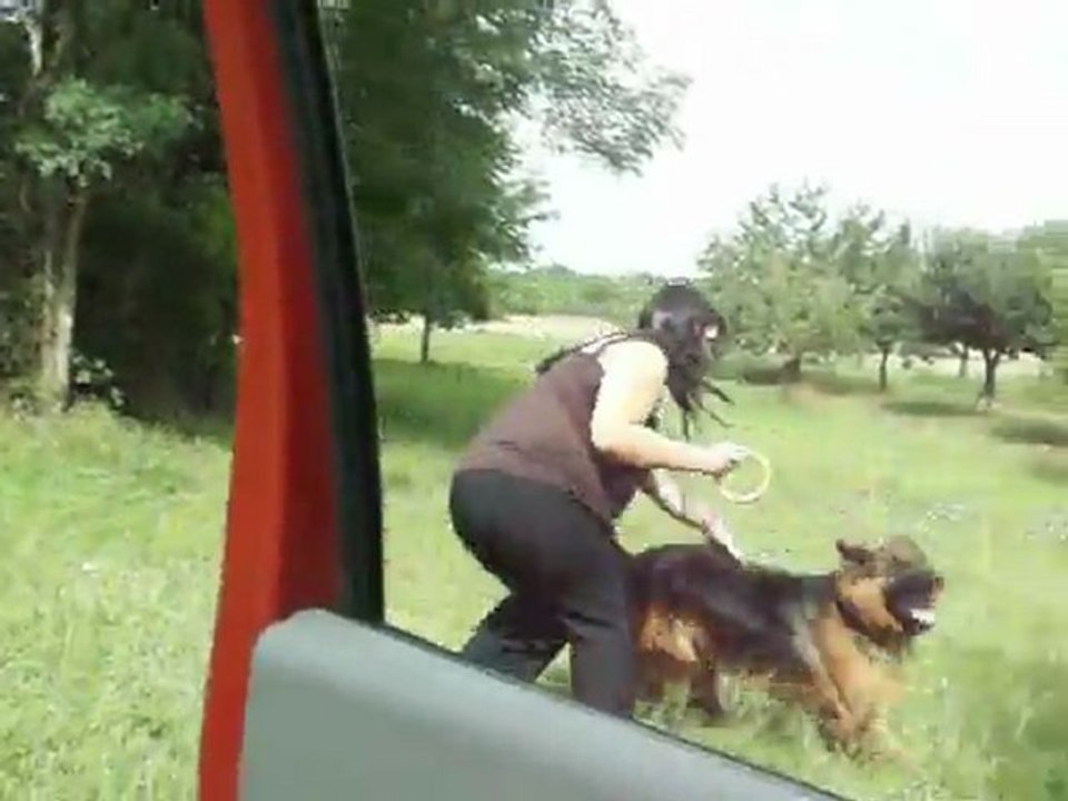 eros obé marche o pied reste et saut d'obstacle