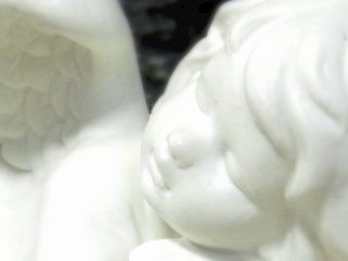 Adventsausstellung 2011 im Blumengeschäft Quadriga Flora in Meggen, Luzern