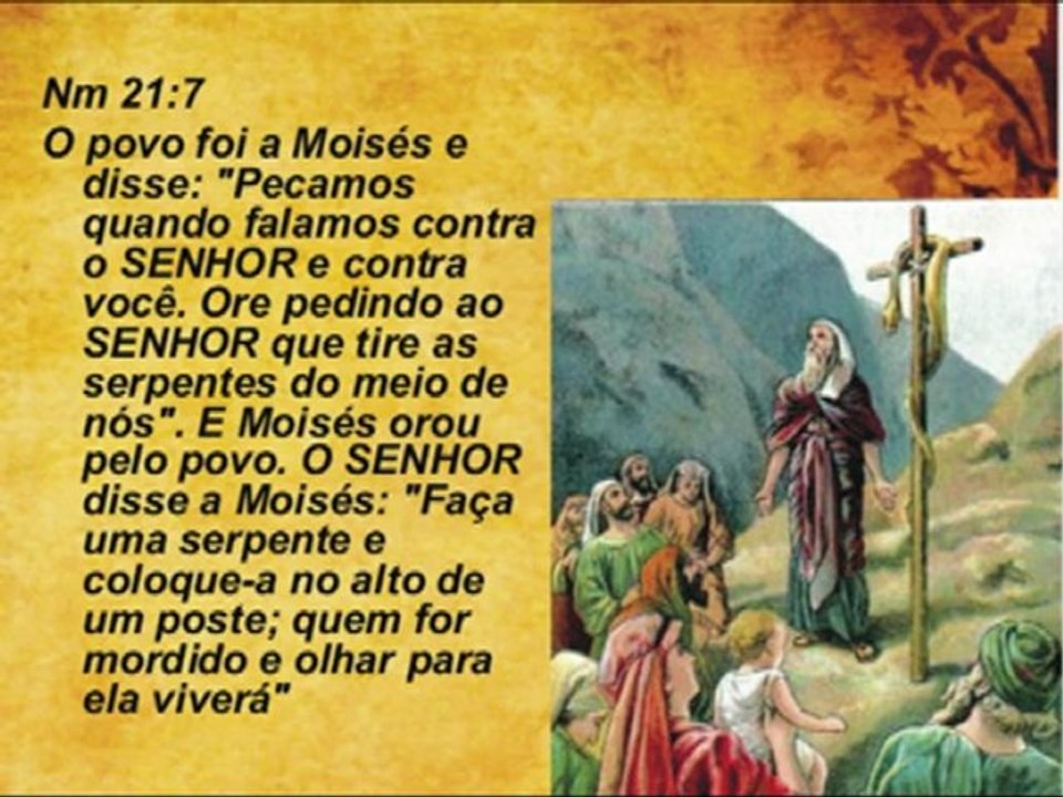 (2) As víboras da vida