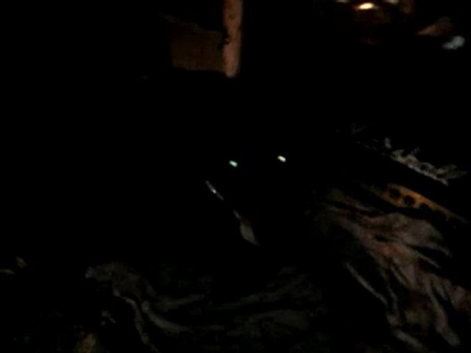 Vidéo0249