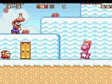 Walkthrough : Super Mario Advance [4] Après les légumes , les barbapapa