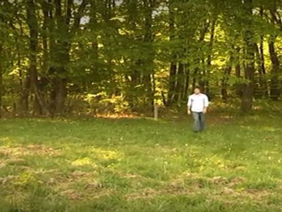 Rêveries