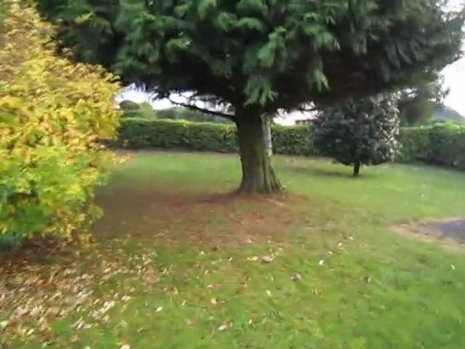 Jardin 1
