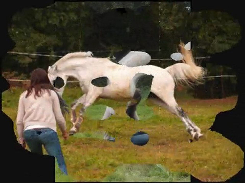 "Composez vous des souvenirs inoubliables.."