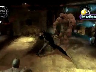 [PC] Batman Arkham Asylum - 08