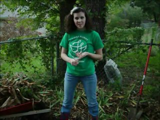 Decomposition Inquiry