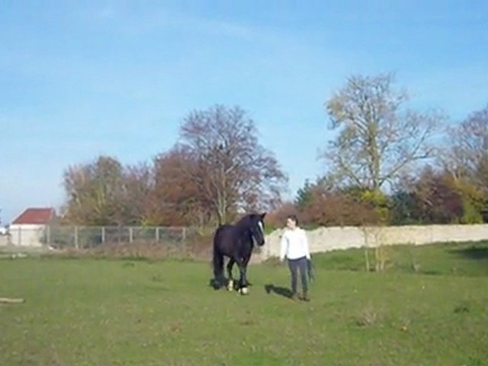 liberté Tango 11.2011