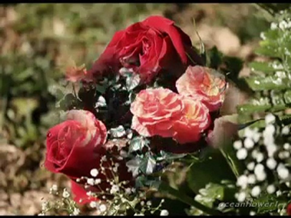 Jean Francois Maurice   ♫♥♪ Mon Amour ♫♥♪