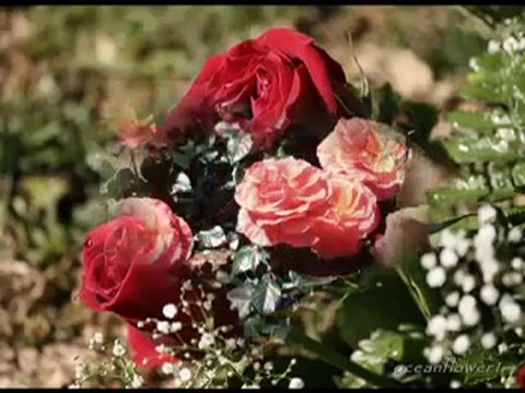 Jean Francois Maurice ♫♥♪ Mon Amour ♫♥♪