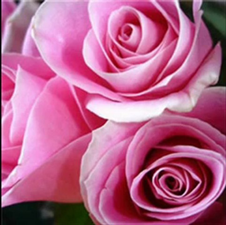 Salvatore Adamo  ♫♥♪ Car Je Veux ♫♥♪