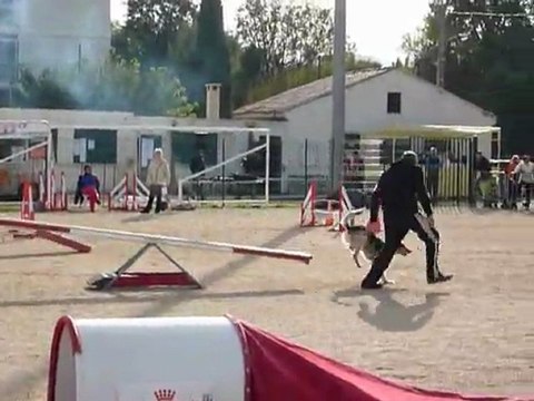 Brownie - Open La Bouilladisse 12.11.11