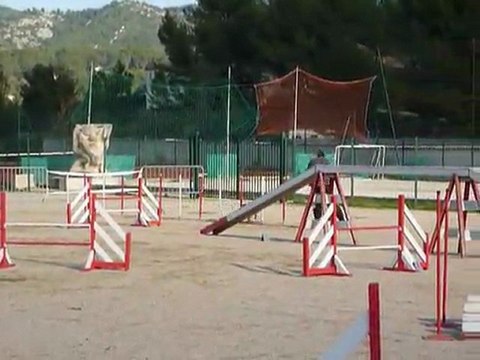 Brownie - GPF La Bouilladisse 12.11.11