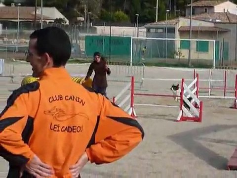 Cookie - Open La Bouilladisse 12.11.11