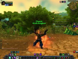 Wow Transformation Humain en Worgen
